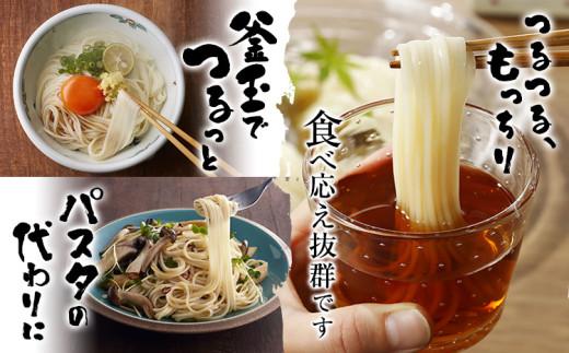 半田そうめん「オカベの麺」 1束90g 20束 《2026年8月発送》徳島県 美馬市 株式会社オカベ 半田そうめん オカベの麺 素麺 乾麺 送料無料 めんつゆ無し