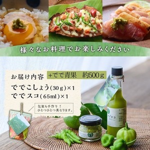 【P60004】ででこしょう＆ででスコ でで青果 セット(ででこしょう30g・ででスコ65ml・でで（辺塚だいだい）約500g) 香辛料 スパイス だいだい 橙 辺塚だいだい お取り寄せ ギフト 贈答