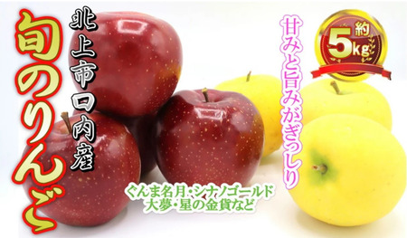 予約受付 8月上旬～発送予定【品種おまかせ】りんご 約 4.5kg セット りんご 果物 フルーツ おやつ お土産 お歳暮 お中元 お祝い 子供 ファミリー 家庭 金成園 岩手県 北上市 C0063