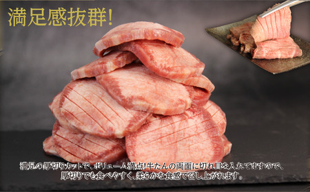 仙台名物 牛タン 牛タン焼き塩味500g (500g×1) 宮城県 名取市 肉 焼肉 牛肉 精肉 牛たん 牛タン塩 牛たん塩 冷凍 BBQ アウトドア バーベキュー 厚切り タン 500g