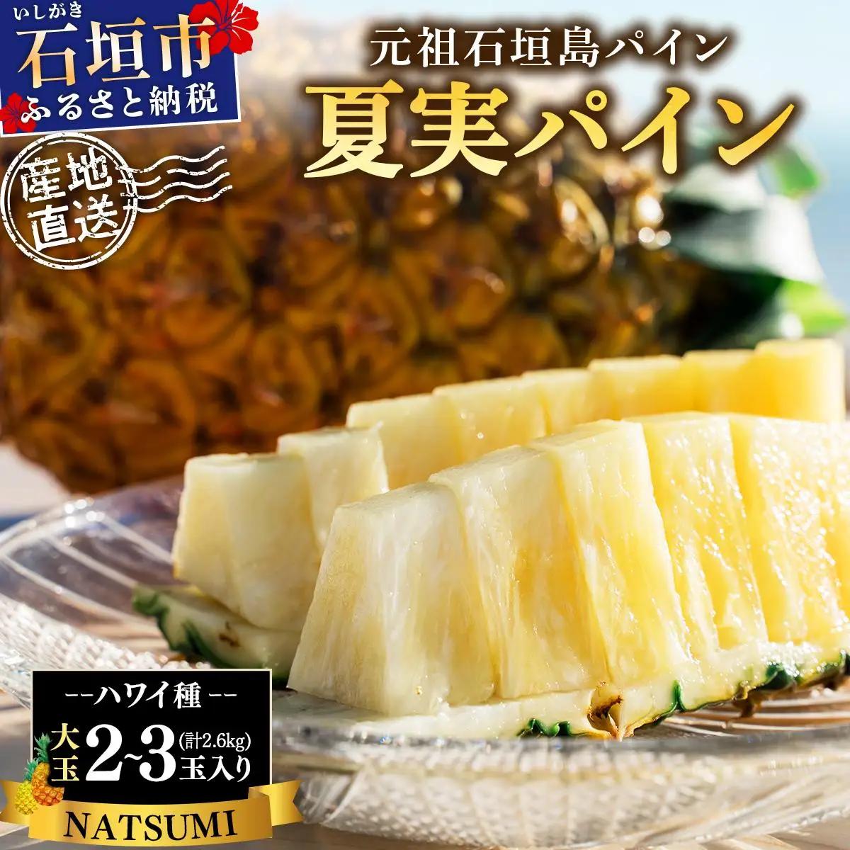 パイナップル 夏実パイン 大玉2～3個 計2.6kg