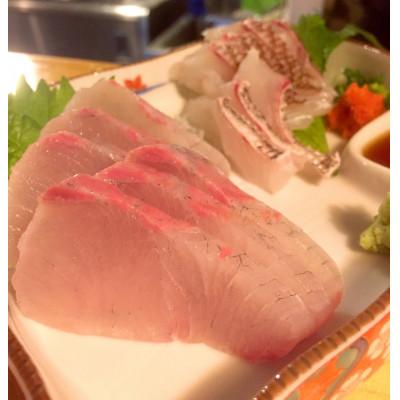 ふるさと納税 壱岐市 養殖ヒラマサフィレ(1尾分2枚:冷凍発送)