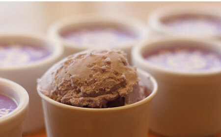 【全3回定期便】沼南ミルクジェラート 沼隈ぶどう ６個　アイス  ぶどう  アイス アイスクリーム デザート スイーツ ご当地 広島県福山市/甚ごろう[BAEC042]