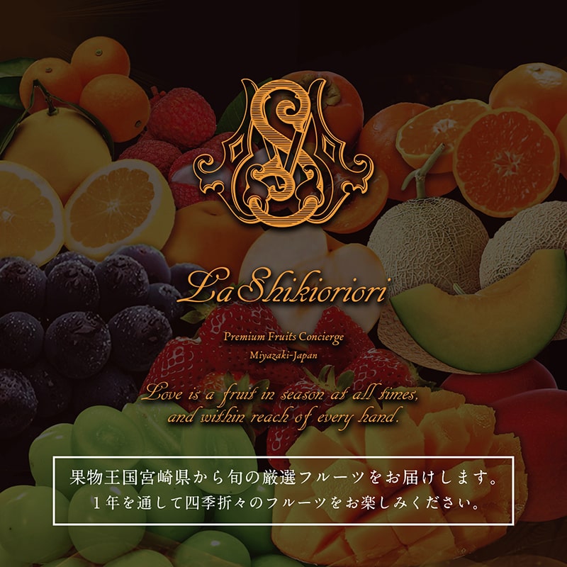 南国宮崎 旬の《至高》フルーツ定期便 偶数月コース（計6回）【F96】