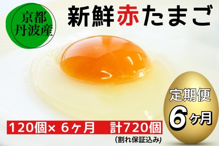 【6回定期便】新鮮 卵 京都・丹波の赤たまご 120個（100個＋割れ保障20個）×6ヶ月 計720個 ※北海道・沖縄・離島への配送不可《亀岡産卵 生卵 たまご 鶏卵小分け 卵 卵ギフト 卵 たまご 