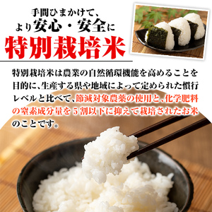 C0-09 【定期便】令和5年産 特別栽培米 伊佐米永池ひのひかり(計18kg・3kg×6ヶ月)鹿児島でも極良食味のお米が出来る永池地区で作ったお米！九州米サミット食味コンテスト最優秀賞を2回受賞【エ