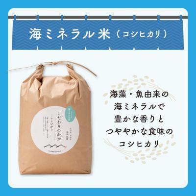 ふるさと納税 能美市 【R8年産】北本農場のお米石川県産コシヒカリ白米10kg×1袋海ミネラル米