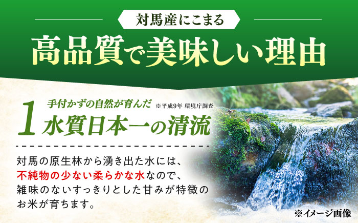 【R8年産】【2026年10月中旬頃より順次発送】特A 対馬産 にこまる 5kg×2「ほたる舞う三根川の米」 《対馬市》【永留しいたけ農園】新米 米 お米 ご飯 ごはん 白米 10kg 10キロ 産地