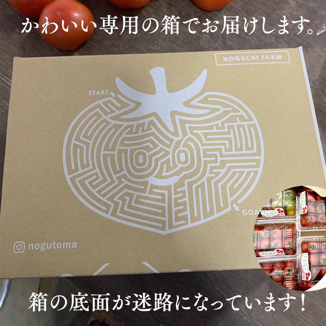 プチぷよ ミニトマト 合計 約1kg （約200g × 5パック） トマト