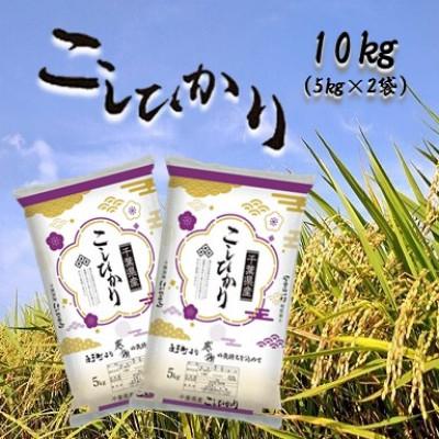 ふるさと納税 白子町 令和7年産千葉県産コシヒカリ 精米 10kg (5kg×2袋)