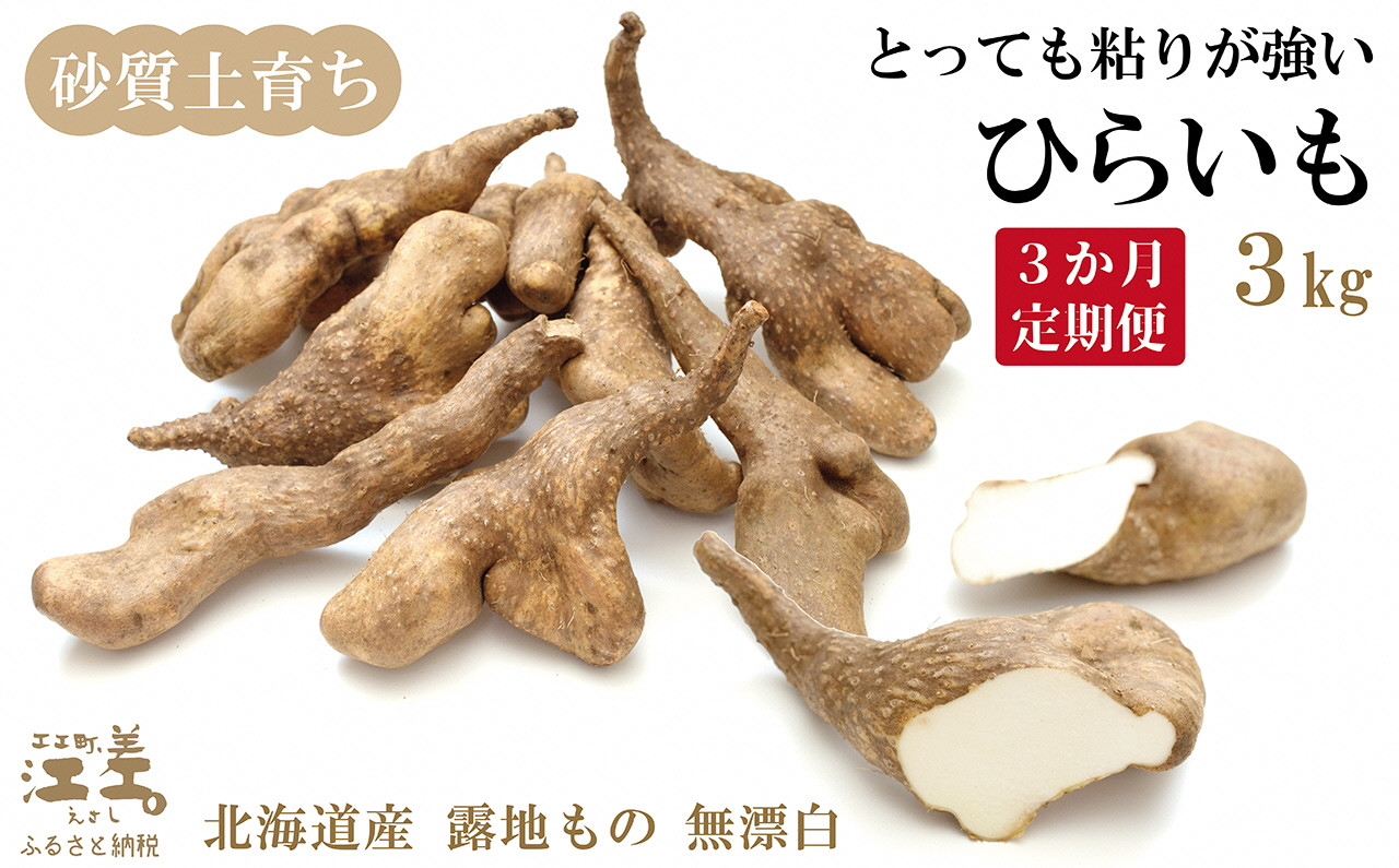
            【早期予約・10月以降発送予定】《3か月定期便》北海道産 ひらいも  3kg／毎月お届け　砂質土育ち とっても粘りが強い 北海道の山芋　もちもち食感　露地もの　無漂白　ねばり芋　やまと芋　長芋　自然薯　山かけ　とろろ　いももち　豚汁
          