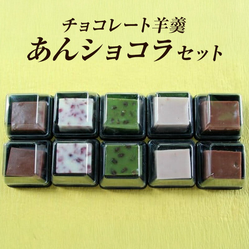 【ふるさと納税】チョコレート羊羹「あんショコラ」セット