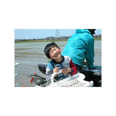 ふるさと納税 宝達志水町 お米 定期便 3回 コシヒカリ「弘宝米」 玄米 30kg 計90kg [38601290] |  | 02