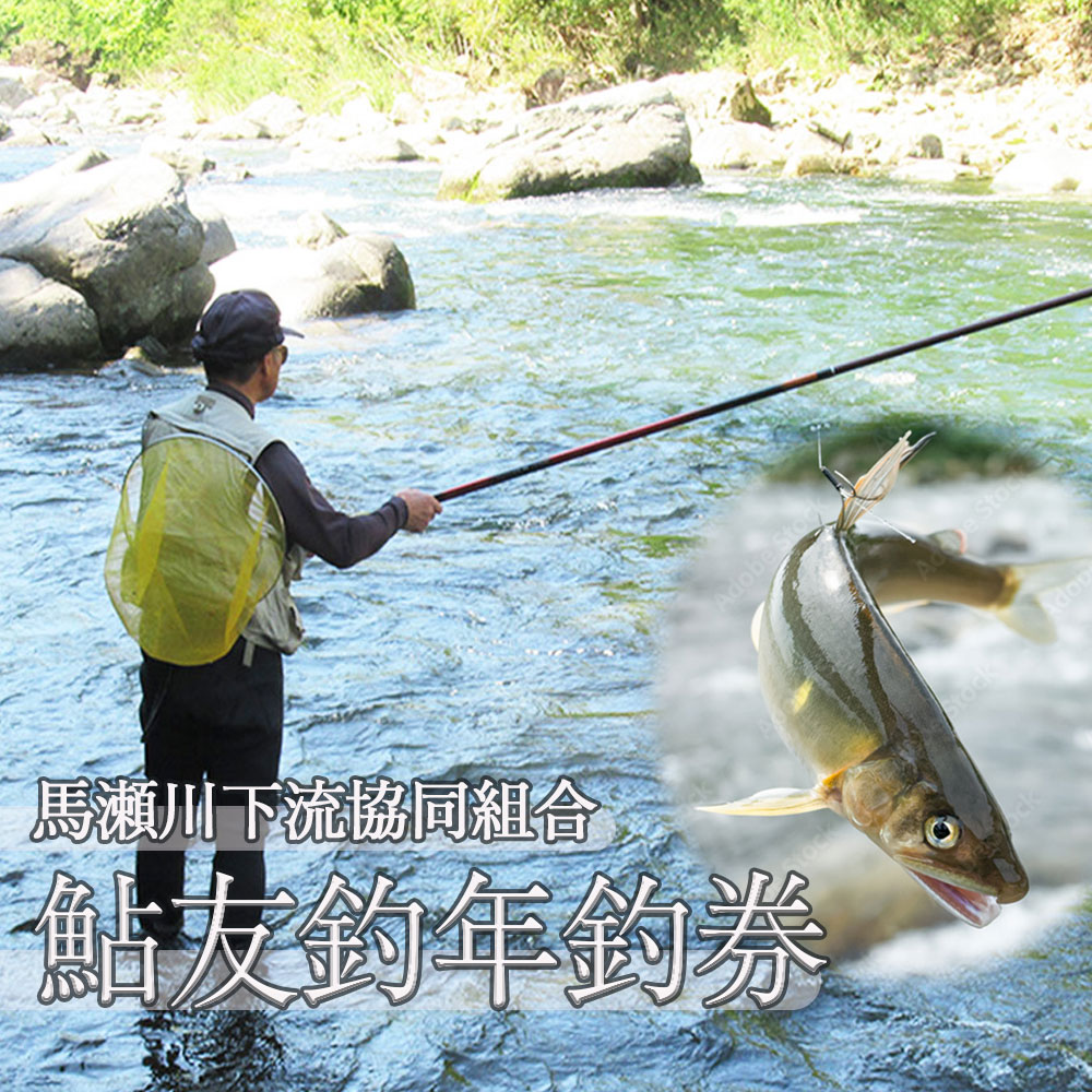 【ふるさと納税】予約受付【令和8年】 (2026年5月から順次発送)「馬瀬川下流」鮎友釣年釣券 1枚 (2026年6月6日(土)解禁) あゆ 年券 アユ 年釣り つり券 2026年
