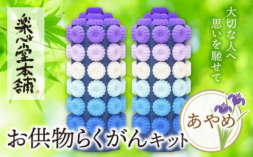 
            U29-16 お供物らくがんキット・あやめ お盆 お供え お菓子 お供え物 高級 豪華 お供えセット おすすめ お供え セット 飾り ハス 落雁 お供え 法事
          