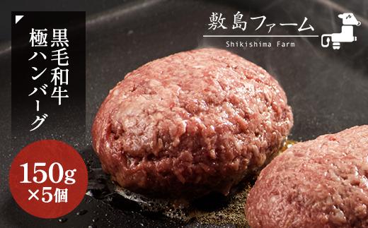 
那須高原 敷島和牛手作りハンバーグ（150g×5個）計750g 小分け ハンバーグ 肉 お肉 牛肉 国産 黒毛和牛 冷凍 栃木県 那須町《敷島ファーム》〔B-82〕
※着日指定不可
※北海道・沖縄・離島への配送不可
