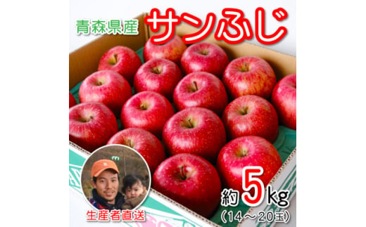 
青森県産 産地直送!家庭用 サンふじ 約5kg【1387746】
