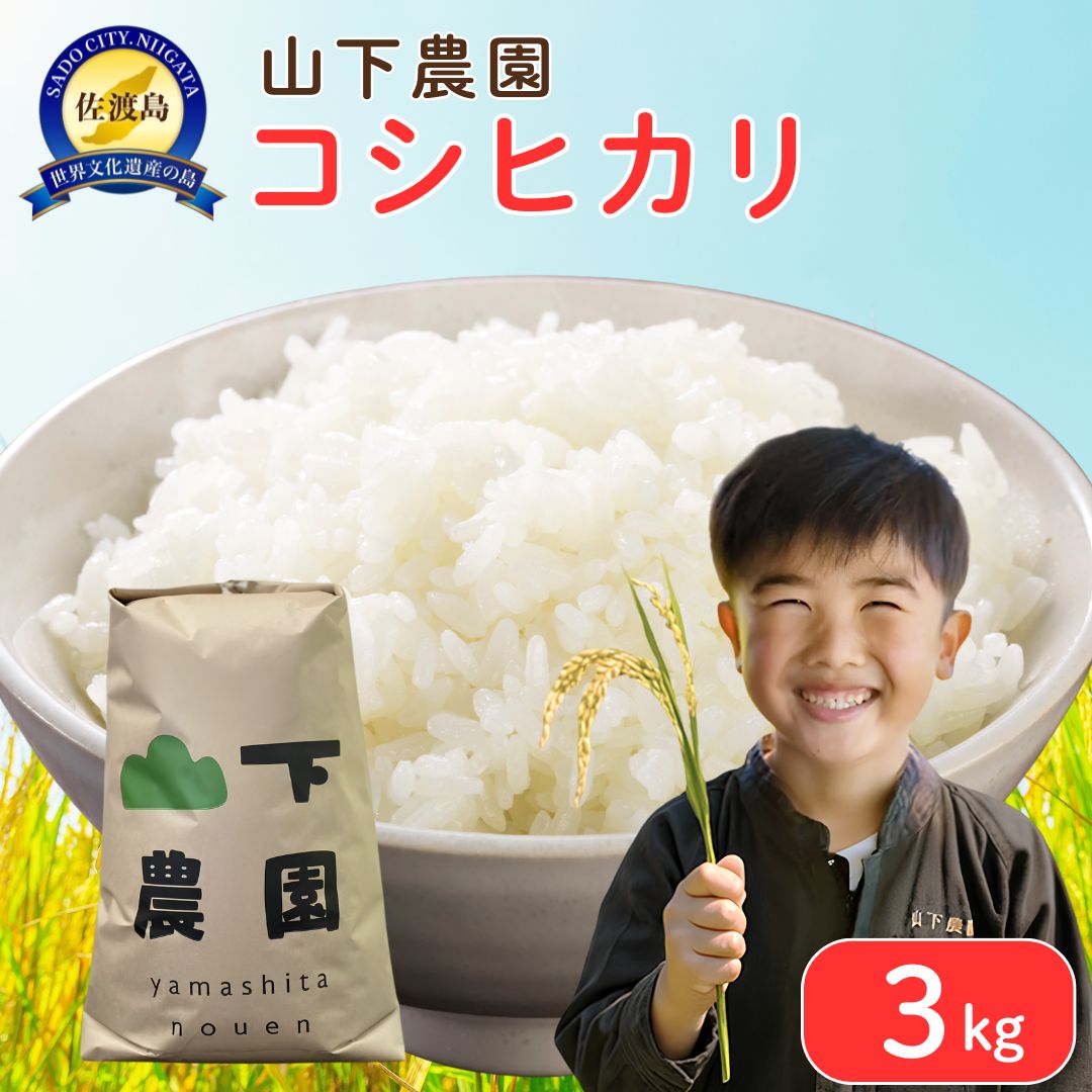山下農園 令和7年産 佐渡産コシヒカリ3kg195993-0004