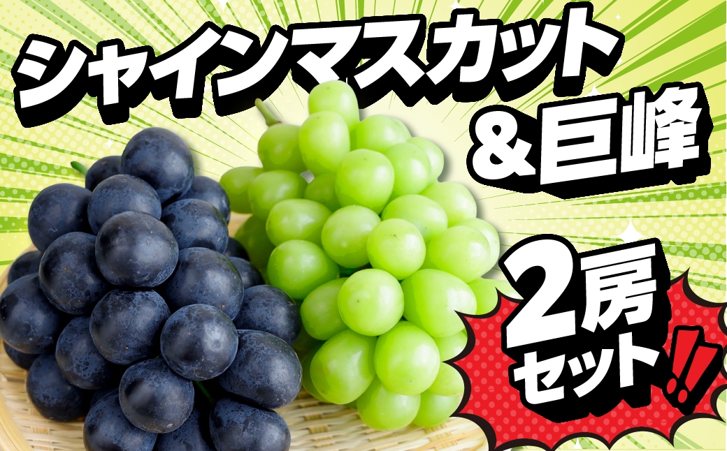 
            《先行予約》シャインマスカット 巨峰 贅沢食べ比べセット 
          