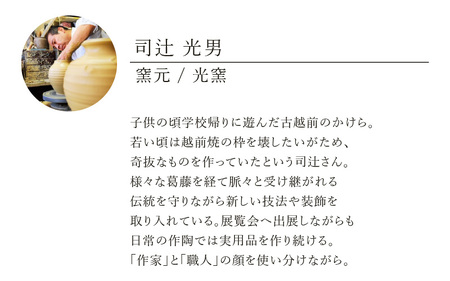  越前焼のふるさと越前町からお届け！ 飾り花生け「映」(桐箱付き) 現代の名工 司辻光男 越前焼 越前焼き 【インテリア 花入れ 花器 装飾品 ギフト うつわ 工芸品 陶器】[e25-r001]