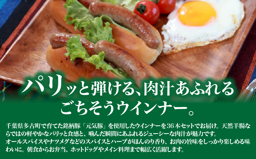 【千葉県多古町産】元気豚 ウインナーソーセージセット(36本入り)【配送不可地域：離島】【1655497】 TAKB070