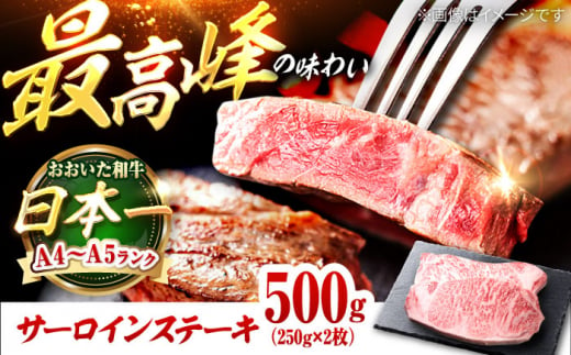 おおいた和牛 サーロインステーキ 500g (250g×2枚) 日田市 / 株式会社OTOGINO [AREF128]