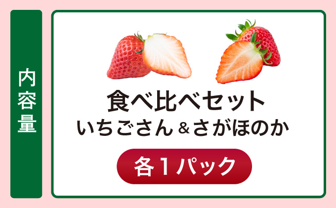 【先行予約】数量限定 いちごさん＆さがほのか食べ比べセット ★贈り物にも最適★ B-1093-KN_イメージ4