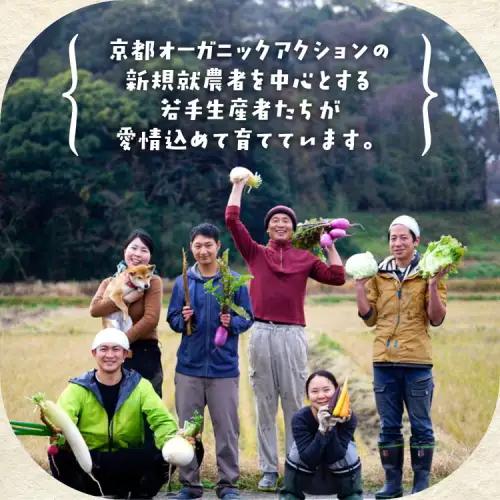 【6回定期便】＜アスカ有機農園＞旬の京野菜セットＳ 野菜 
