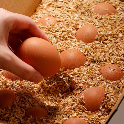 【ふるさと納税】天美卵もみがら詰め30個【1701154】