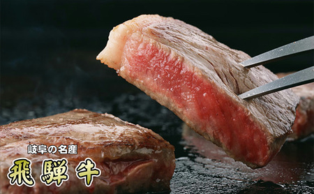 牛肉 飛騨牛 サーロイン ステーキ セット 600g（1枚 約300g×2枚） 黒毛和牛 A5 美味しい お肉 牛 肉 和牛 サーロインステーキ 【岐阜県瑞穂市】