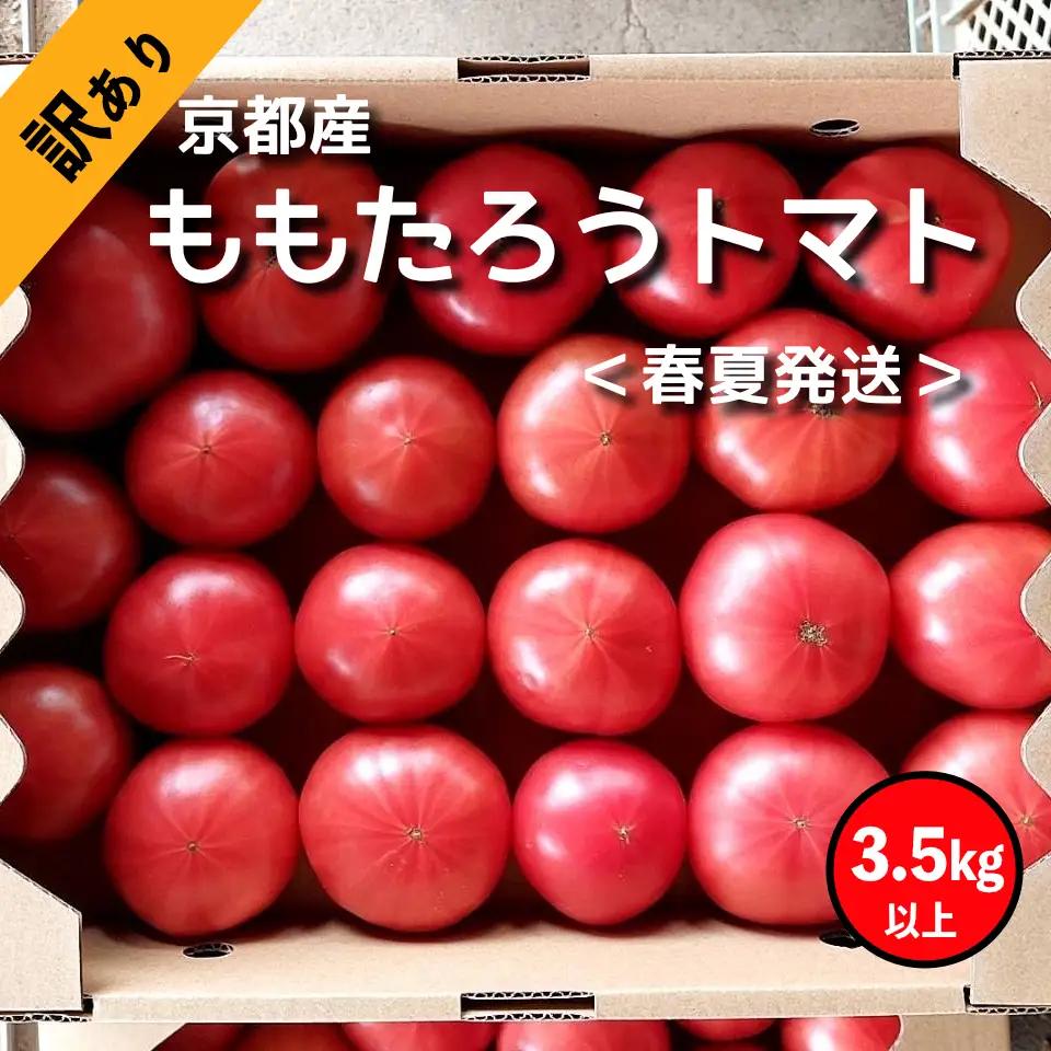 【訳あり】京丹後産 モモタロウトマト 3.5kg トマト