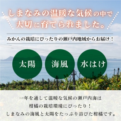 愛媛県今治産柑橘 甘平 レギュラー箱5kg シャキッと食感の大人気果物【C078】【配送不可地域：離島】