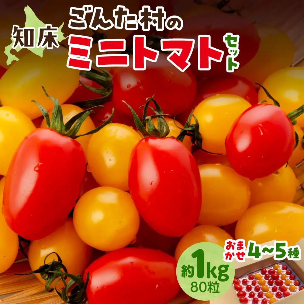 【新鮮】知床の斜里町産 採れたてミニトマト4～5種セット 約1kg(80粒) | トマト ミニトマト プチトマト 野菜 北海道 斜里町