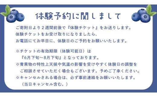 ブルーベリー狩り 体験チケット 《大人２名様プラン お土産付き》 ブルーベリー ベリー 食べ比べ 食べ放題 収穫 収穫体験 体験 チケット 招待券 レジャー 観光 旅行 ふれあい お土産 おみやげ 持