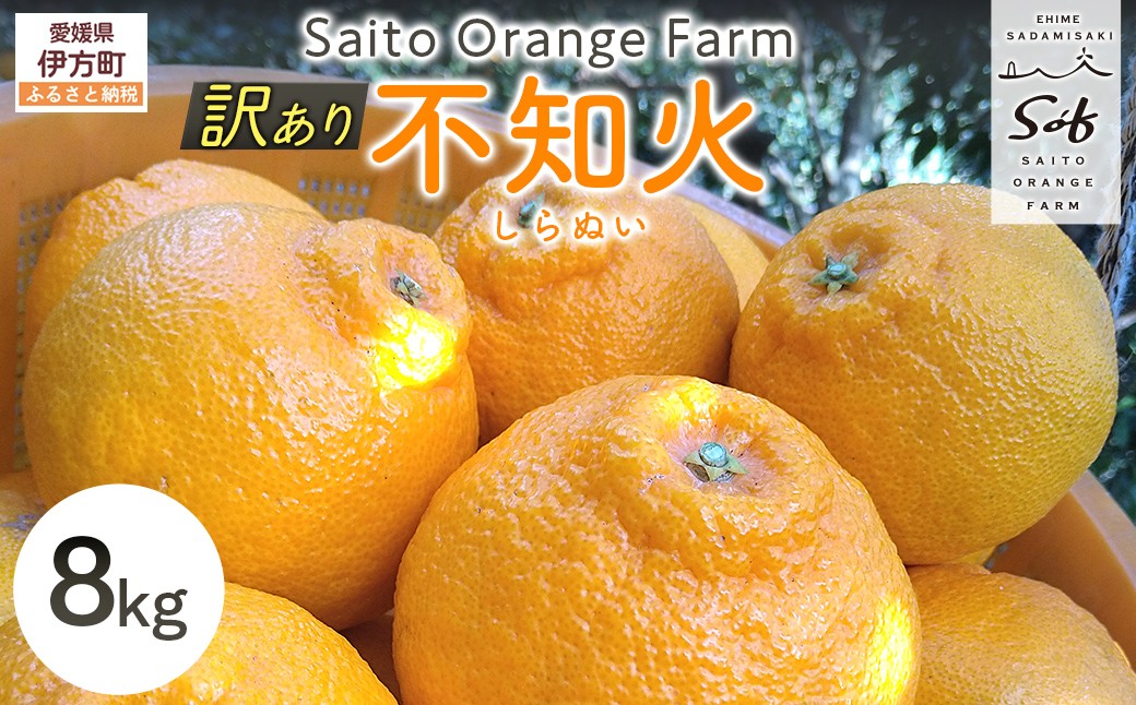 
                  【先行予約】Saito Orange Farmの訳あり不知火8kg（2027年3月上旬頃より順次発送予定）【 ふるさと納税 人気 おすすめ ランキング みかん ミカン 蜜柑 柑橘 不知火 しらぬい フルーツ 果物 産地直送 西宇和 Saito Orange Farm 訳あり 愛媛県産 愛媛県 伊方町 送料無料 】 IKTAQ012
                