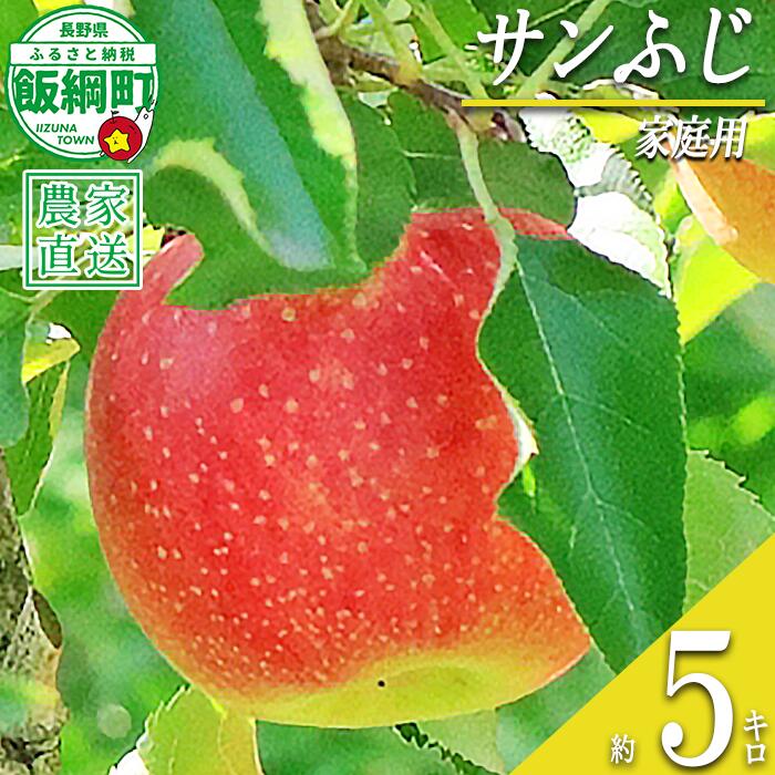 【ふるさと納税】 りんご サンふじ 家庭用 5kg 永正の地蔵尊神谷農園 沖縄県への配送不可 令和8年度収穫分 長野県 飯綱町 〔 信州 果物 フルーツ リンゴ 林檎 長野 14000円 予約 農家直送 〕発送時期：2026年12月中旬〜2027年3月上旬 {**}