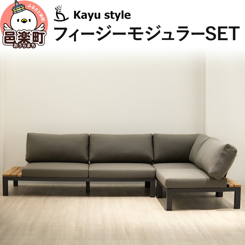 【ふるさと納税】フィージーモジュラーSET