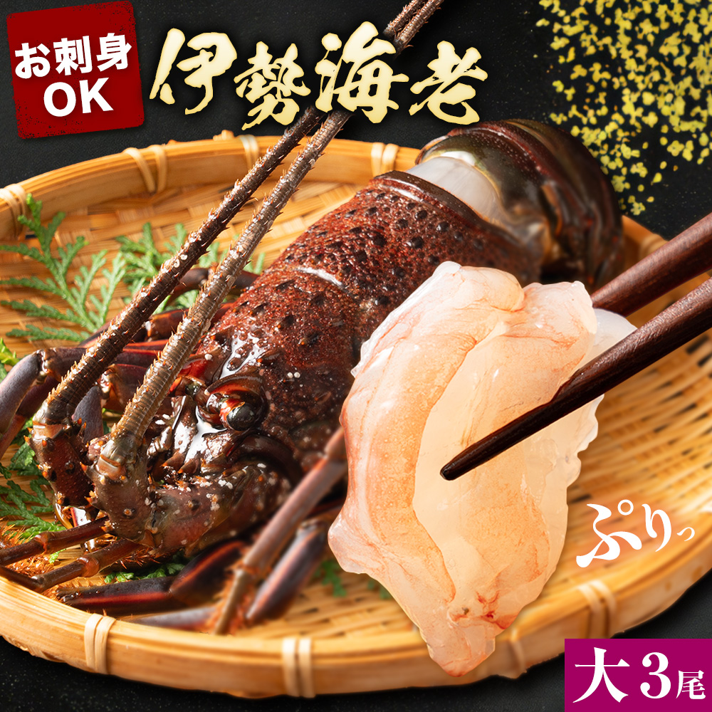 天然伊勢海老 千葉県勝浦産 生冷活〆 大サイズ 500gUP×3尾 計1.8kg 【刺身OK】 贈答 株式会社串浜水産《30日以内に出荷予定(土日祝除く)》千葉県 勝浦市 伊勢海老 海老 えび【配送不可地域あり】（離島）【1498739】---kastuura_kshm_2---