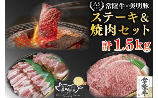 
                  【常陸牛 A5ランク・美明豚ステーキ焼肉セット】常陸牛サーロイン900ｇ（300ｇ×３枚）＋美明豚600ｇ（ロース300ｇ・ばら300ｇ）冷凍 国産牛 和牛 牛肉 豚肉 ブランド豚 食べ比べ お取り寄せ 老舗精肉店 肉の加治 茨城県 水戸市（EK-36）
                
