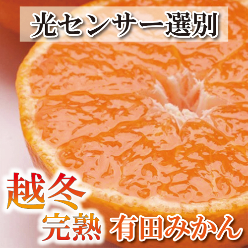 家庭用　越冬完熟みかん5kg+150g（傷み補償分）【ハウスみかん】【わけあり・訳あり】【光センサー選別】＜1月中旬より順次発送予定＞【ikd027B】