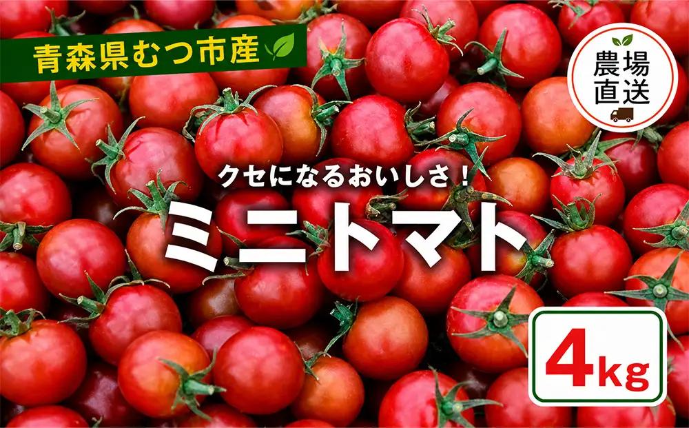むつ市産　寅福菜園の「ミニトマト」4㎏