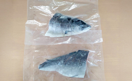 北海道産 塩時鮭 姿切り身 半身 300g×2パック 鮭