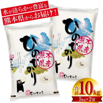 ふるさと納税 八代市 【令和7年産】熊本県産 くまモン ひのひかり 10kg(5kg×2袋)お米ひとすじ 70年!八代食糧