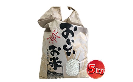 お米 キヌヒカリ 5kg 減農薬 もっちり お米