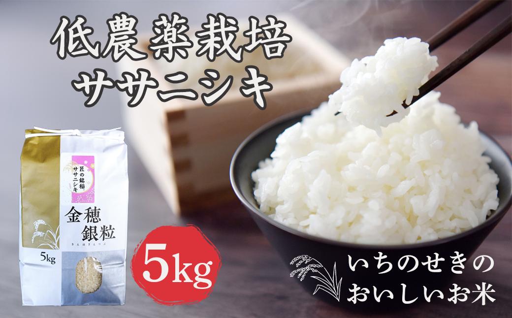 
            【新米先行予約】令和7年産 新米 低農薬栽培 ササニシキ 5kg【精米】
          