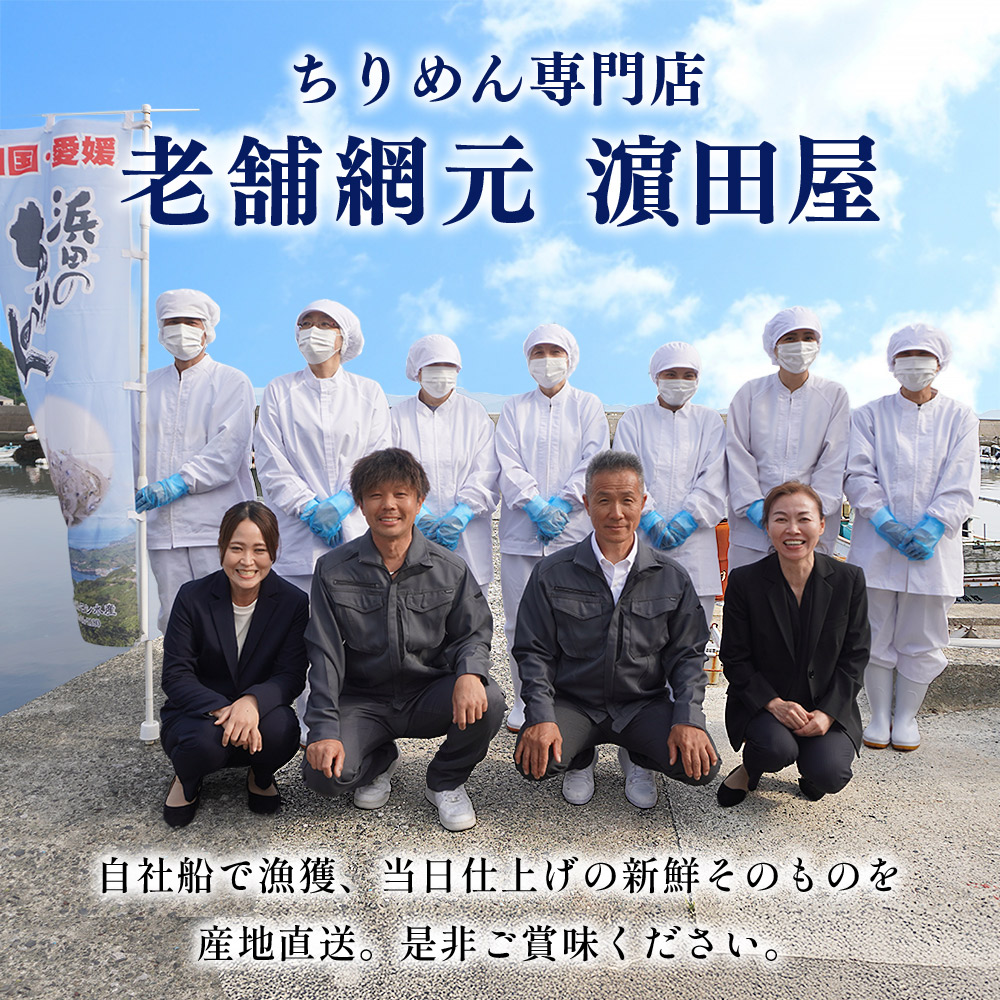 ＜訳あり ちりめん 約750g(250g×3袋)＞ ちりめんじゃこ じゃこ 家庭用 海鮮 海産物 丼 おにぎり 具材 ご飯 おつまみ おやつ 小魚 乾物 国産 マルヨシ水産 特産品 愛媛県 西予市