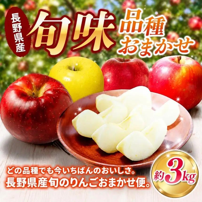 【先行予約】信州産りんご【品種おまかせ】約3kg (8～12玉)【秋映・シナノスイート・シナノゴールド・名月・サンふじ・あいかの香り】《2026年10月上旬頃から発送》
