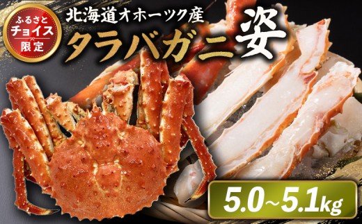 
                  《チョイス限定》北海道オホーツク産 冷タラバガニ姿　5.0～5.1kg | オンライン申請 ふるさと納税 北海道 雄武 北海道産タラバガニ タラバ カニ かに 蟹 冷凍 海産 海産物 ギフト 贈り物 お取り寄せ ワンストップ マイページ 雄武町【1241101】
                