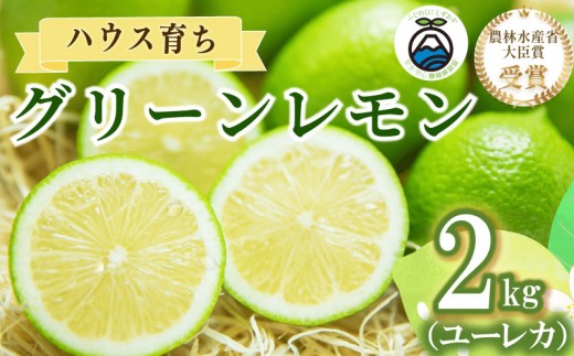【農林水産大臣賞  先行予約 国産 レモン】選べる 内容量 グリーンレモン 2kg れもん 檸檬 Lemon 柑橘類 柑橘 フルーツ 果物 酸っぱい 果肉 酸味 甘み 防腐剤不使用  受賞農園 皮食べられる 自宅用 贈答品 レモンスカッシュ レモンパウンドケーキ レモンサワー くだもの 家庭用 静岡県産 農家直送 産地直送 産直   グリーン レモン 大関農園  静岡 県 牧之原 市