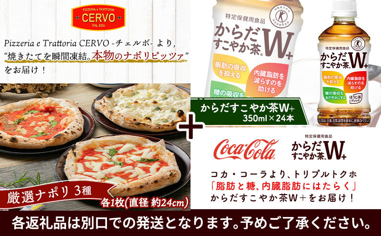 石窯ピッツァ 3枚 ナポリ3種 からだすこやか茶 350ml 24本 コラボ 返礼品 ピザ マルゲリータ クワトロフォルマッジ マリナーラ お茶 茶 トクホ 特定保健用食品 健康 ふるさと納税 北海道